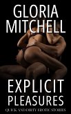 Explicit Pleasures (eBook, ePUB)