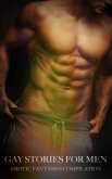 Gay Stories for Men - Volume 3 (eBook, ePUB)