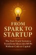 From Spark to Startup: The Fast-Track... - Bild 1