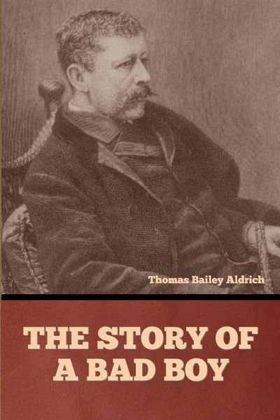 The Story of a Bad Boy The Story of a Bad Boy