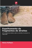 Espelhamento de fragmentos de direitos Espelhamento de fragmentos de direitos