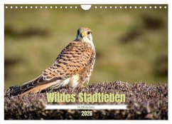 Wildes Stadtleben in München (Wandkalender 2026 DIN A4 quer), CALVENDO Monatskalender - Calvendo;Franz, Ingrid