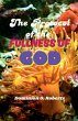 The Protocol of the Fullness of God - Bild 1