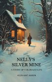 Nelly'S Silver Mine A Story Of Colorado Life