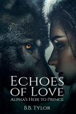 Echoes of Love
