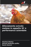 Allevamento avicolo malese in appalto SC e performance aziendale Allevamento avicolo malese in appalto SC e performance aziendale