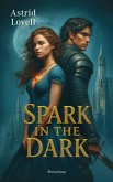 Spark in the Dark Spark in the Dark
