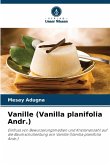 Vanille (Vanilla planifolia Andr.)