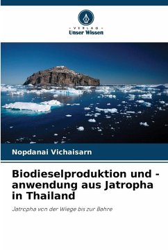 Cover Biodieselproduktion und -anwendung aus Jatropha in Thailand