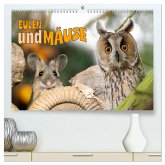 Eulen und Mäuse (hochwertiger Premium Wandkalender 2026 DIN A2 quer), Kunstdruck in Hochglanz Eulen und Mäuse (hochwertiger Premium Wandkalender 2026 DIN A2 quer), Kunstdruck in Hochglanz