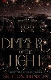 Dimmer of the Light Dimmer of the Light