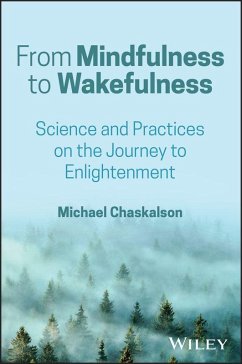 From Mindfulness to Wakefulness - Chaskalson, Michael