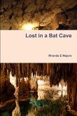 Lost in a Bat Cave