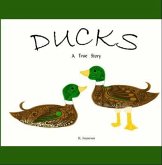 Ducks (eBook, ePUB)