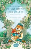 Erinnerungen des Waldes Band 4 Erinnerungen des Waldes Band 4