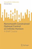Nonsmooth Constrained Optimal Control on Infinite Horizon Nonsmooth Constrained Optimal Control on Infinite Horizon