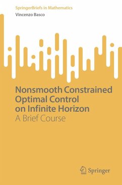 Nonsmooth Constrained Optimal Control on Infinite Horizon - Basco, Vincenzo