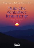 Buio che schiarisce lentamente (eBook, ePUB) Buio che schiarisce lentamente (eBook, ePUB)