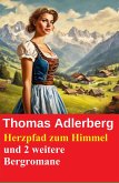 Herzpfad zum Himmel und 2 weitere Bergromane (eBook, ePUB)