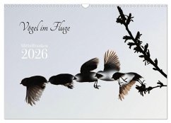 Vögel im Fluge (Wandkalender 2026 DIN A3 quer), CALVENDO Monatskalender