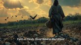 Faith or Flesh, Good Seed or Bad Weed (eBook, ePUB)