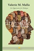 Invisible Invisible