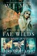 Fae Wilds Box Set Books #4-6 (Fae Wilds... - Bild 1