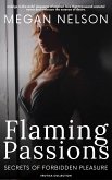 Flaming Passions (eBook, ePUB)