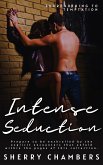 Intense Seduction (eBook, ePUB)
