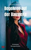 Begehren auf der Baustelle (eBook, ePUB)