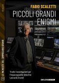 Piccoli grandi enigmi (eBook, ePUB)