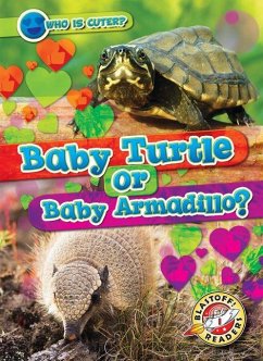 Cover Baby Turtle or Baby Armadillo?