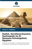 Rudist, Korallenschwamm, Gastropode im El-Hassana-Schutzgebiet, Ägypten Rudist, Korallenschwamm, Gastropode im El-Hassana-Schutzgebiet, Ägypten