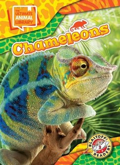 Chameleons - Scheffer, Janie