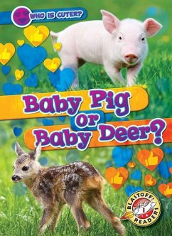 Baby Pig or Baby Deer? - Schuh, Mari C