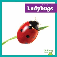 Cover Ladybugs