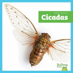 Cicadas - Kenan, Tessa Cicadas - Kenan, Tessa