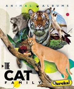 Cover The Cat Family