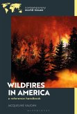 Wildfires in America