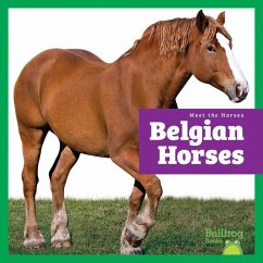 Cover Belgian Horses