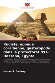 Rudiste, éponge corallienne, gastéropode dans le protectorat d'El-Hassana, Égypte Rudiste, éponge corallienne, gastéropode dans le protectorat d'El-Hassana, Égypte