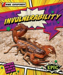 Invulnerability Cover Invulnerability