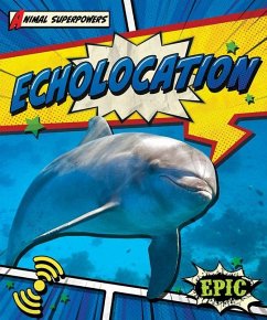 Echolocation Cover Echolocation