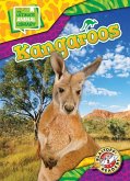 Kangaroos Kangaroos