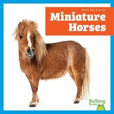 Miniature Horses Miniature Horses
