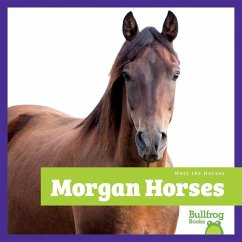 Cover Morgan Horses