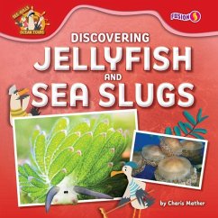Cover Discovering Jellyfish and Sea Slugs