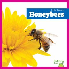 Cover Honeybees