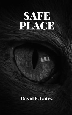 Cover Safe Place (eBook, ePUB)