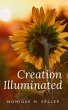 Creation Illuminated (eBook, ePUB) - Bild 1